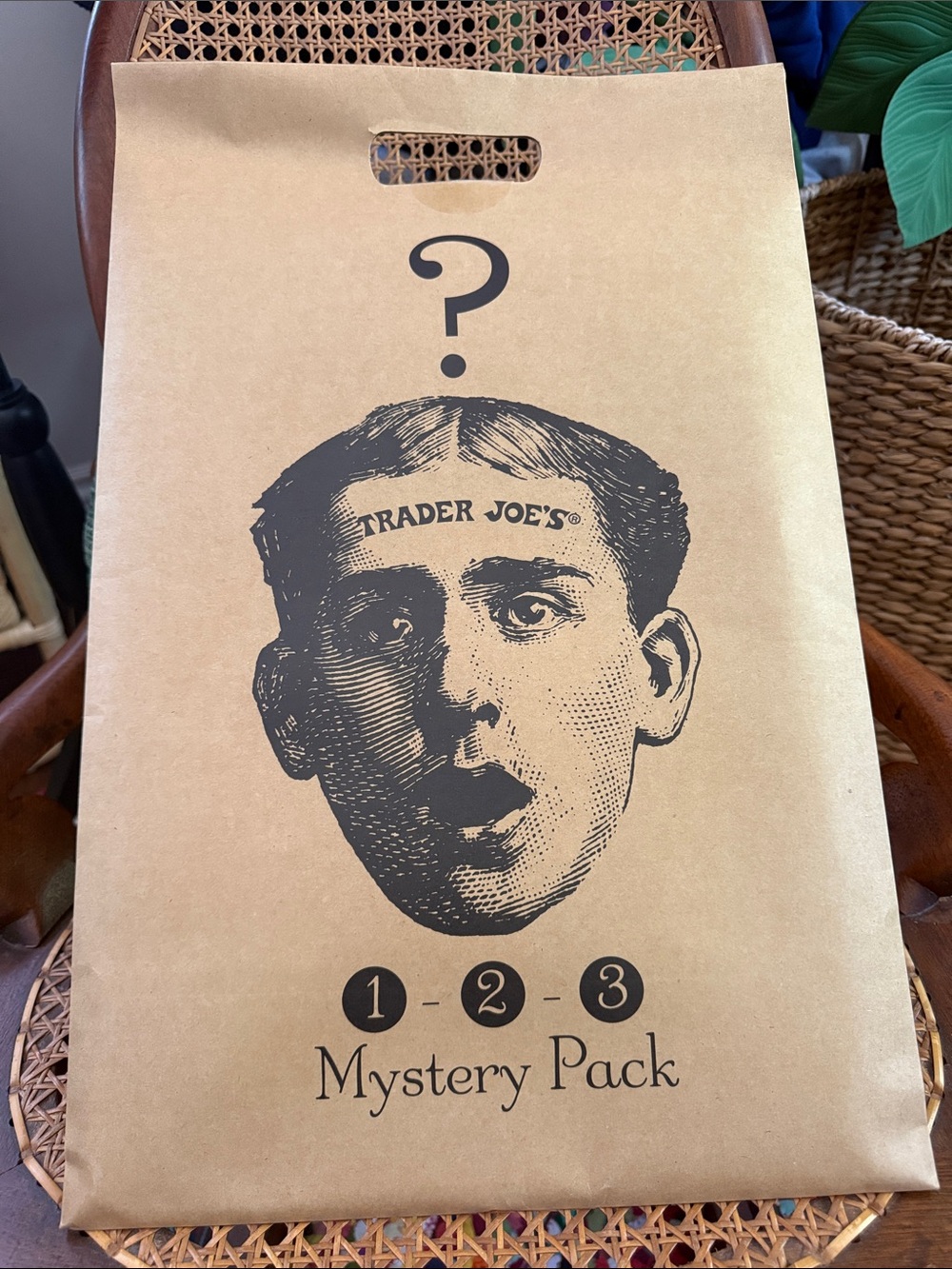 NIP Trader Joe’s Collectible Mystery Bag Reusable Tote Package
